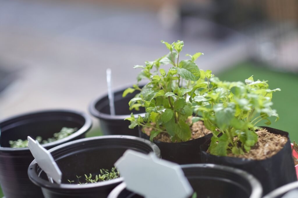 how to prepare for rising prices and shortages.